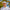 Man in UV Skinz's men's snapback hat in white|white